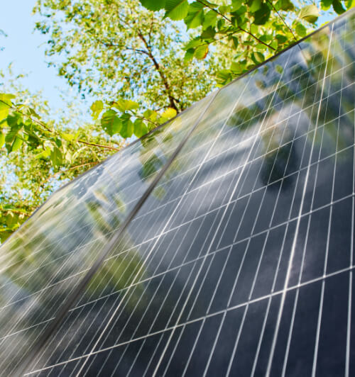 panneaux solaires photovoltaïques